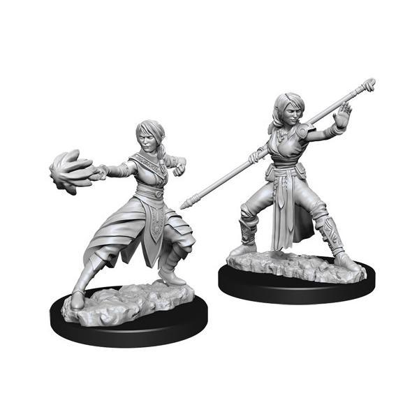 D&D Figure: Female Half-Elf Monk