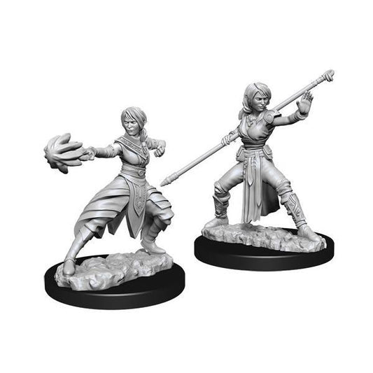 D&D Figure: Female Half-Elf Monk
