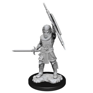 D&D Figure: Human Fighter Male